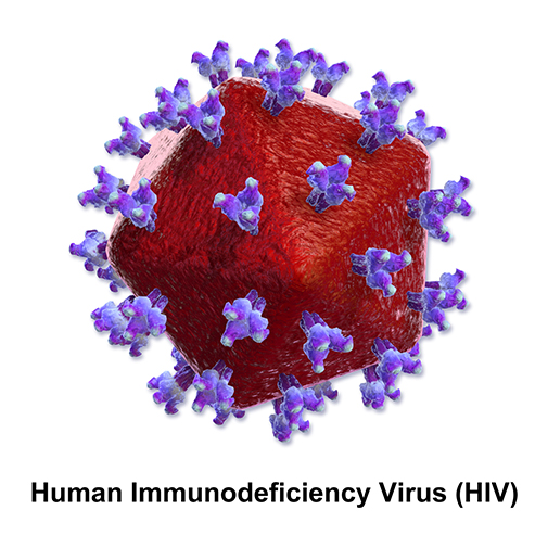 فيروس HIV