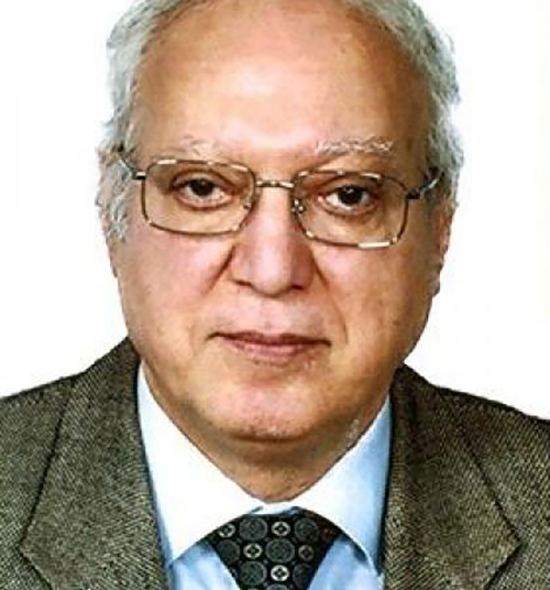 نبيل علي محمد