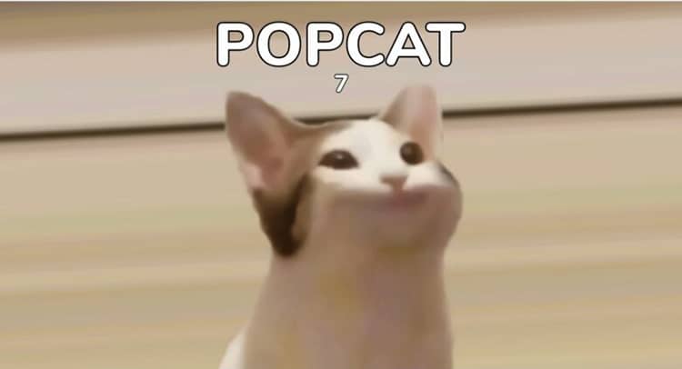 POPCAT