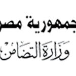 وزارة التضامن الاجتماعي المصرية