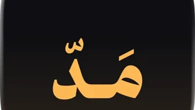 تطبيق مد